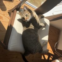 20181013105058_IMG_2199