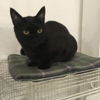 20181019201448_IMG_2020