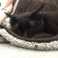 20181111135728_IMG_2347