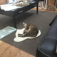 20190216141346_IMG_2054