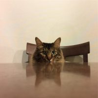 45524138_1925694570841986_850968375250135998_n