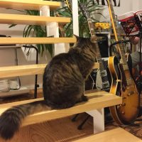 46228537_208735763395067_571426863456469334_n