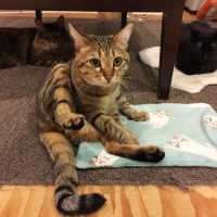 46237871_142116923438405_1134394795573906084_n