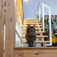 47114823_526359184546226_6016286062392368646_n